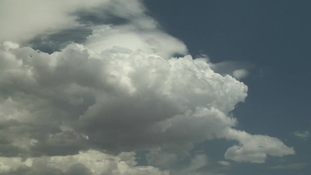 Cumulus Clouds Begin Growth into Thunderstorms