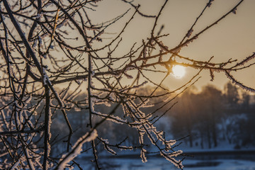 Sunset in a winter day