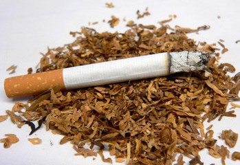 a lighted cigarette and tobacco on a white background
