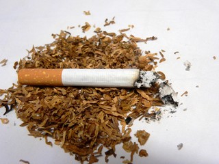 a lighted cigarette and tobacco on a white background
