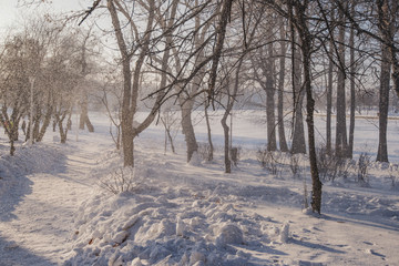 Winter days in Bucharest