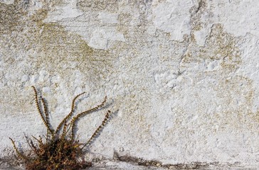 grunge wall