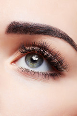 Obraz premium woman eye with beautiful makeup