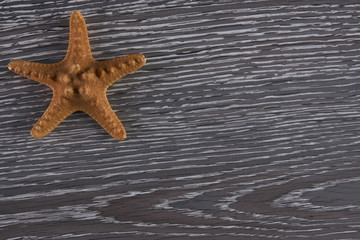 Fototapeta na wymiar starfish on a wooden background, Top view with copy spase