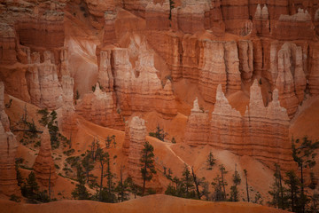 I sentieri tra le guglie rosse del Bryce Canyon