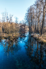 Leutstettener Moos am Starnberger See in Bayern im Winter