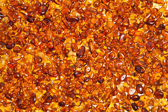 Dark Yellow Amber Stones On A White Background.