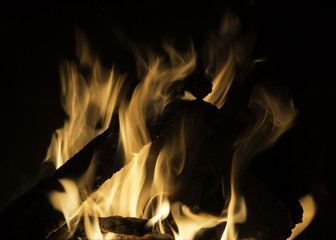 Roaring fire with orange flames aglow on silhouetted fire logs
