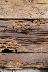 Termite damage, wood destroying insects