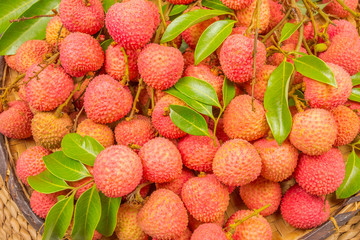 panier de litchis mûrs de la Réunion