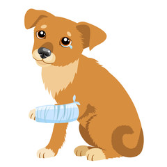 Sad Dog Story. Vector Illustration Of Cute Sad Dog Or Puppy. Sick Dog With Splinting Leg. Veterinary Theme. Dog Dropped Of At Shelter.
