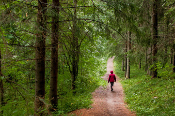 Woman hiking alone in a forest trail