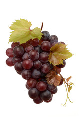 Juicy Grapes