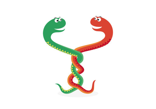 Snake vector illustration. Two entangled snakes. Snake cartoon character