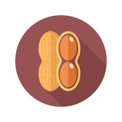 Peanut flat icon. Vegetable vector