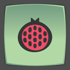 Vector outline pomegranate fruit icon. Modern infographic logo and pictogram.