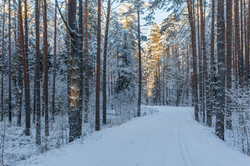 Obraz premium Winter, snow covered road in forest at sunset
