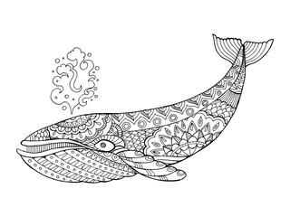 Whale coloring book vector illustration