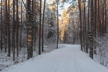 Winter, snow covered road in forest at sunset
