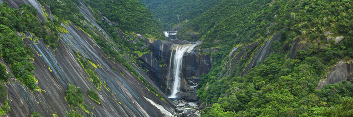 Fototapeta premium The Senpiro Falls on Yakushima Island, Japan