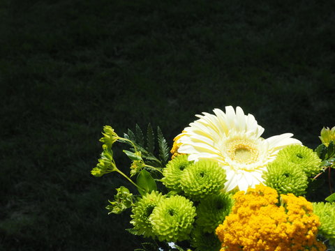 Bodacious bouquet