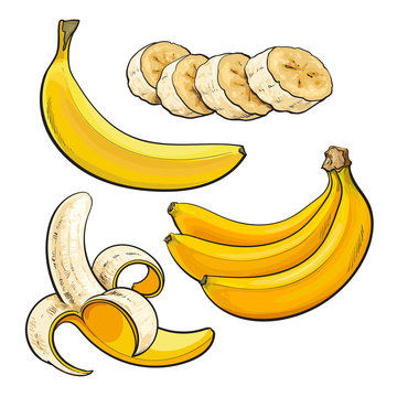 Sliced, Peeled, Singl And Bunch Of Three Ripe Banana, Sketch Style Vector Illustration Isolated On White Background. Realistic Hand Drawing Of Whole, Peeled, Sliced Banana And A Bunch Of Three Bananas