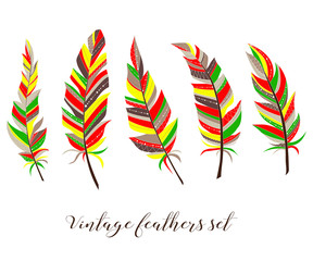 Vintage feathers set. Five elegant feathers of boho style on a white background.