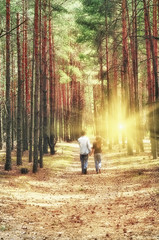 Fototapeta premium Girl with a guy holding hands stretching into the distance on a forest path in the pine forest. The slender trunks of pine trees, herb, soft sunlight. warm summer day, walk in love 