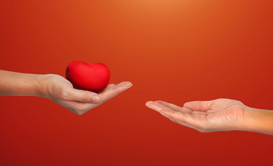 Fototapeta premium Hands hold red hearts