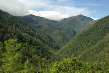 Ciudad perdida