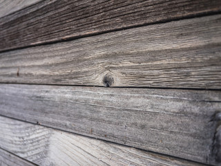 Wood background texture. Natural Wooden Background.