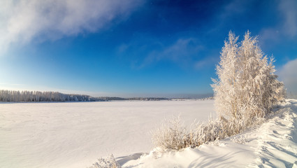 зимний пейзаж с замерзшим озером и деревом в снегу Россия Урал