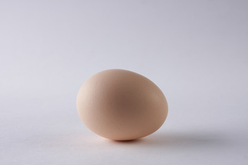 Brown egg on white background