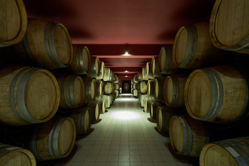 Wooden barrels in the wine cellar