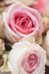 Pink roses. Detail of wedding bouquet
