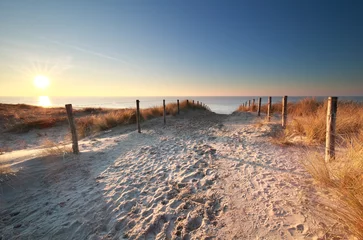 Papier Peint photo Lavable Mer du Nord, Pays-Bas la lumière du soleil sur le chemin de sable jusqu& 39 à la plage de la mer du Nord
