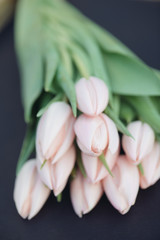 Obraz premium Fresh pink tulip flowers bouquet