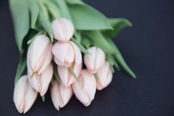 Fresh pink tulip flowers bouquet