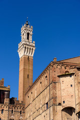 tower of Mangia in the historic center of Siena, tuscany, italy