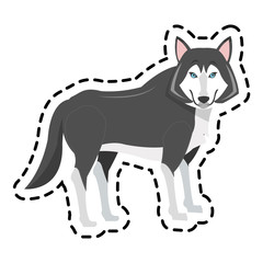 wolf cartoon icon over white background. colorful design. vector illustration