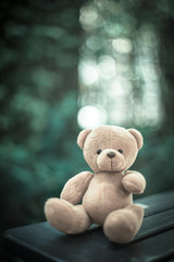 bear doll on the table with dramatic tone