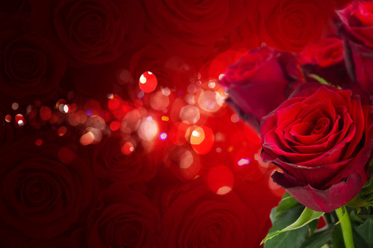 scarlet roses on red bokeh background with sparkles