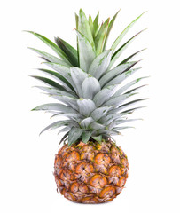 Fototapeta premium ripe pineapple isolated on white background