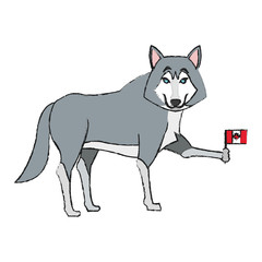 wolf cartoon with flag of canada over white background. colorful design. vector illustration