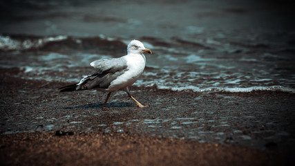 Enjoying the wather