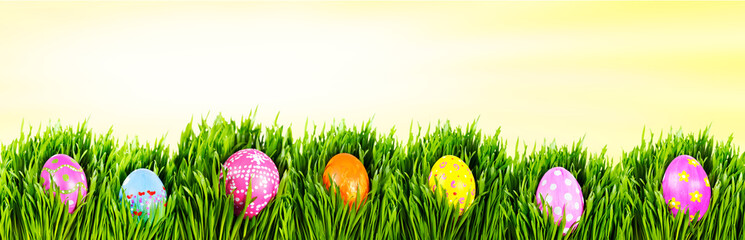 Hand painted Easter eggsHand painted easter eggs nestled in grass with a burst of sunshine