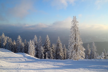 Winterlandschaft mit Skipiste