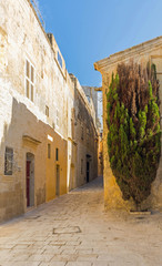 malta - streets of mdina