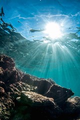 Unter Wasser Mittelmeer Blick nach oben