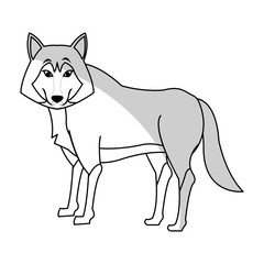 wolf cartoon icon over white background. vector illustration